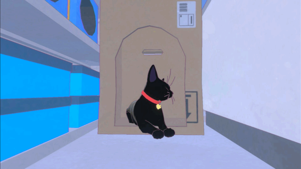 little kitty big city