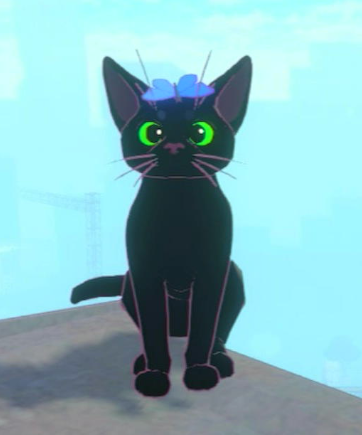 Little kitty Big City