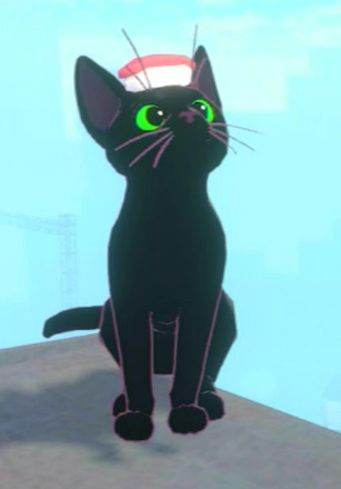 Little kitty Big City