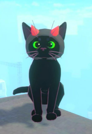 Little kitty Big City